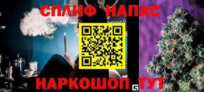 спиды Дубна